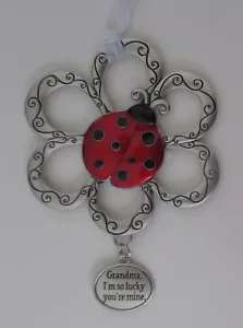 i1 Nonna sono così fortunata sei mia LOVING LITTLE COCCINELLE ORNAMENTO coccinella - Foto 1 di 7