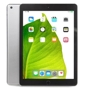 Apple iPad 5th Gen. Space Gray 9.7" 32GB Wi-Fi Tablet MP2F2LL/A A1822 - Grade C - Picture 1 of 7
