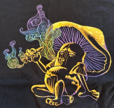 Camiseta Ann Arbor Magic Mushroom estampado gráfico M SS tripulación psicodélicos Foto 1 de 4