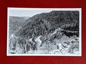 Oak Creek Canyon Prescott Arizona 1940 RPPC Photo Postcard Forest Road LANDSCAPE - Picture 1 of 5