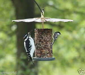 Alimentador de aves de tronco de morena con techo grande y tronco de semillas #1112R-CT - Imagen 1 de 9