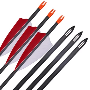 6pcs 28" Carbon Arrows Spine 700 with Turkey Feathers Fixed Arrow-tips - Picture 1 of 9