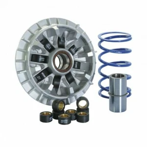 VARIATORE POLINI HI-SPEED 8 RULLI 16-18gr YAMAHA T-MAX TMAX 530 ie 2012-2016 - Imagen 1 de 1