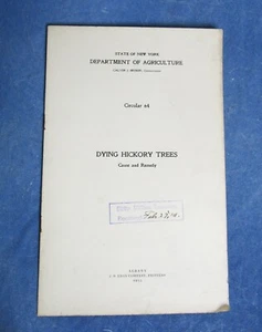 1913 Dept of Agriculture Dying Hickory Trees, Cause and Remedy Vintage - Picture 1 of 1
