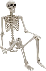 Halloween Skeleton Decorations, 2.95Ft Life Size Posable Skeleton, Large Full - Picture 1 of 12