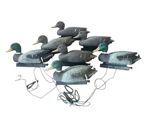 Cabelas Grande Pato Señuelos Set De 7 Mallardos Dracos Gallinas Caza Aves Acuáticas Bolsa - Imagen 1 de 8