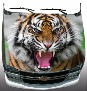 Calcomanía de vinilo envolvente para camión o capucha de automóvil Angry Snarling Tiger nueva en caja #Hood009 - Imagen 1 de 7