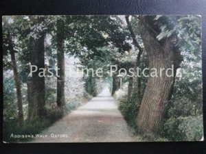 c1904 - Addison's Walk, Oxford - Picture 1 of 1