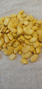 Bulk geschälte Fava Bohnen 4 Pfund Habas Bohnen Glutenfrei getrocknete Bohnen - Bild 1 von 2