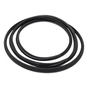 New Sunroof Glass Weatherstrip Seal For Buick Enclave Chevrolet GMC 20814007 - Bild 1 von 4