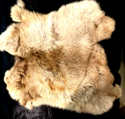 ¿Conejo natural genuino? Piel de piel para decoración artesanal color caramelo 11X13" Foto 1 de 3