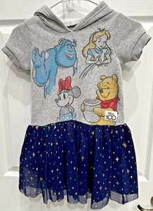 Disney Girls 100 Years Pooh Minnie Sully Alice Hooded Dress w Tulle Skirt S 6/6X - Picture 1 of 2