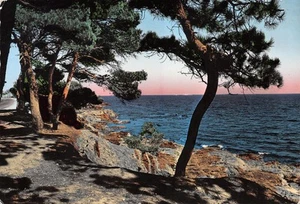 83-COTE D AZUR-N�TB3587-A/0163 - Imagen 1 de 2