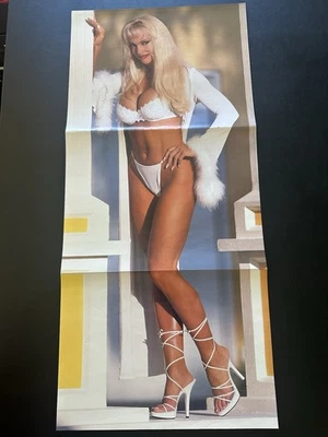 Póster Debra/Stone Cold vintage WWF RAW de revista WWE 24" x 10,5" triple Foto 1 de 4