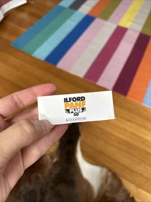 Ilford PAN Plus - черно-белая печатная пленка 120 (6 см) ISO 50 #1706594 - Изображение 1 из 3