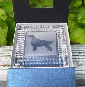 NUEVO PLATO DE CARAMELO CON TAPA DE CRISTAL DE 2 PIEZAS CON FOTO DE UN PERRO ENCIMA. - Imagen 1 de 3