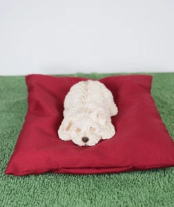 Sandicast "Twitch" S51 con letto a berretto. In ottime condizioni. - Foto 1 di 2