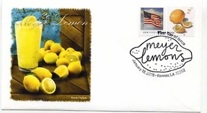 5256 2c Meyer Zitronen, Spule, Panda Cachets, Bildstempel FDC - Bild 1 von 1