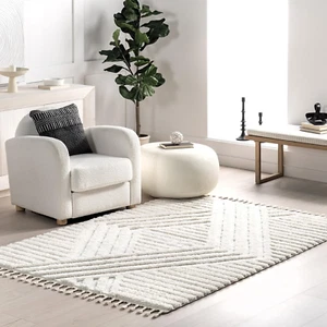 Risette Geometric Shag Tassel Area Rug - 4X6 Shag Area Rug Casual Ivory Rugs for - Picture 1 of 9