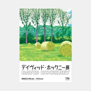 David Hockney / Exhibition Tokyo 2023 Japan Original Promo Poster B2 20x28in - Picture 1 of 1