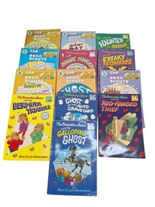 13 Berenstain Bear Big Chapter Books & 1 Christmas Book - Picture 1 of 5