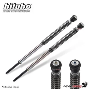 Cartuccia forcella Bitubo JBH1 regolabile Triumph Speed Twin 1200 2019-2020 - Imagen 1 de 4