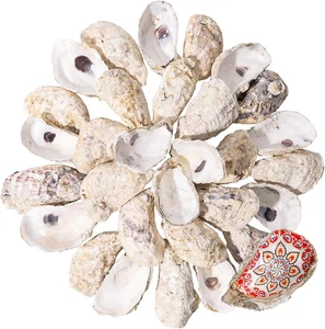 30 PCS Oyster Shells, 4"-5" Large Oyster Shells for Crafts, Natural Oyster Shell - Picture 1 of 12