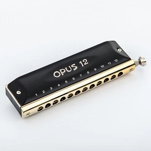 EASTTOP Chromatic Harmonica Key of C 12Hole 48Tone Chromatic MouthOrgan Gift New - Picture 1 of 12