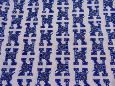 Хлопчатобумажная ткань University of Kentucky Wildcats большой принт «K» 69 дюймов x 48 дюймов - Изображение 1 из 4