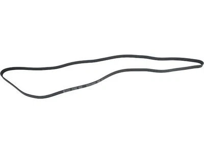 For 1992-1993 Chevrolet Blazer Multi Rib Belt Main Drive API 93183YSCD 5.7L V8 - Image 1 of 2