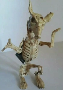 Faux Rat Skeleton Posable Halloween decoration Off White Coloring goth dead fake - Picture 1 of 3