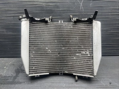 Kawasaki Ninja ZZR600 2007 conjunto de radiador, radiador de refrigeración del motor OEM #918253 Foto 1 de 4