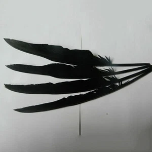 20-100x Black Raven Feather Decor Handmade Costume Cosplay Accessories Prop DIY - Picture 1 of 12