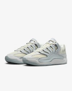 Nike KD18 EP "Pure Platinum/Summit White/Summit White/Wolf Gray" HV1991-001 New - Picture 1 of 10