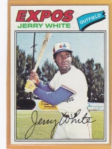 1977 Topps Baseball Jerry White #557 Expos EXMT *91486 - Bild 1 von 1