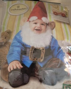 Adorable Incharacter Toddler lil Garden Gnome Halloween Costume ~ 0 Years And Up - Picture 1 of 8