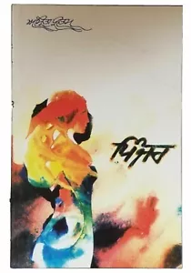 Pinjar Novel Amrita Pritam Punjabi Famous Fiction Panjabi Book Paperback B65 New - Foto 1 di 6