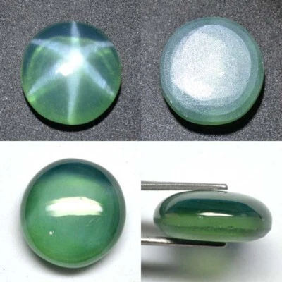 16.50 Ct 15.2x14.5 MM Emerald Green Star Sapphire 6 Rays Lab Corundum EGS731 - Image 1 of 4