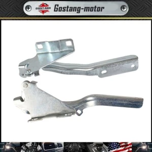Juego de 2 bisagras capó conductor+pasajero para Nissan NV200 13-17 NI1236169 NI1236168 - Imagen 1 de 12