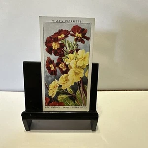 1939 Wills's Garden Flowers #39 Polyanthus Sorte Superb Mix.  - Bild 1 von 2