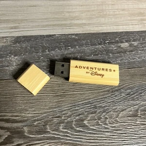 Unidad Flash USB Adventures By Disney ABD 8 GB Estilo Bambú Madera Walt Disney - Imagen 1 de 3
