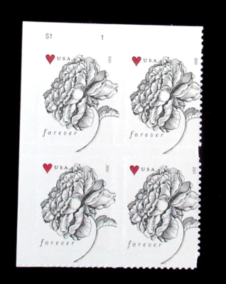 US Forever Stamp 4959 Rose and Heart Plate Block Of 4 MNH - Image 1 of 2