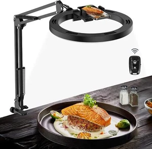Overhead Camera Mount with Selfie Ring Light and Phone Holder, 10" LED Ring L... - Picture 1 of 7