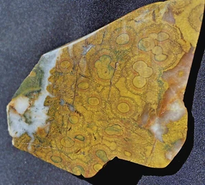 MORGAN HILL POPPY JASPER RARE GREEN ORBS GOLD & QUARZ SLAB 148 GRAMS 5.2 OZs - Picture 1 of 16