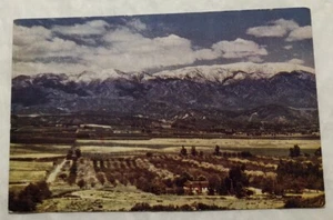 Mt. San Gorgonzola. San Bernardino Mountains, Southern California. Postcard (Y2) - Picture 1 of 2