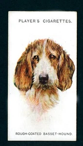 BASSET HOUND PLAYERS 1929 ISSUE  DOG HEADS SERIES OLD CIGARETTE CARD  #2 - Picture 1 of 2