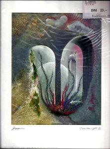 Hardi Zappini - Into the Light II - 24x30cm, NEU, OVP in Folie, selten, Vintage! - Bild 1 von 2