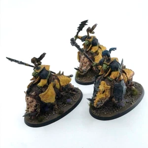 Gore-gruntas Orruk Warclans - Warhammer Age of Sigmar Painted BOX202 - Picture 1 of 3