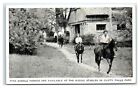 Madison, IN  Postcard - FINE SADDLE HORSES  AT THE RIDING STABLES IN CLIFTY