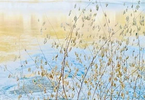 10 CARDS & BOOKMARKS "Live in the sunshine Swim the sea Drink wild air" EMERSON - Picture 1 of 2